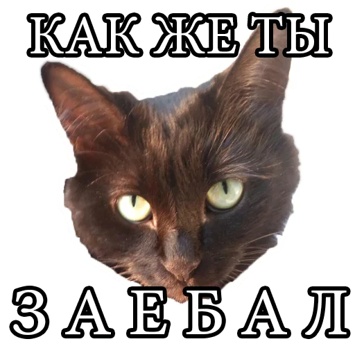 MATILDA sticker 8