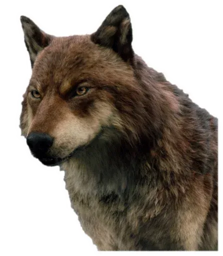 Mavi sticker 56