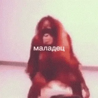 Maymunla sticker 25