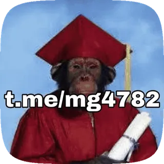 Maymunla sticker 36