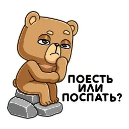 Медведь Женя sticker 9