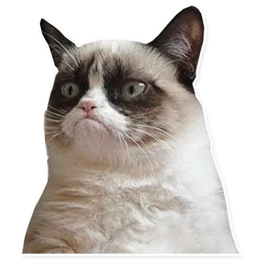 Meme_pack sticker 87