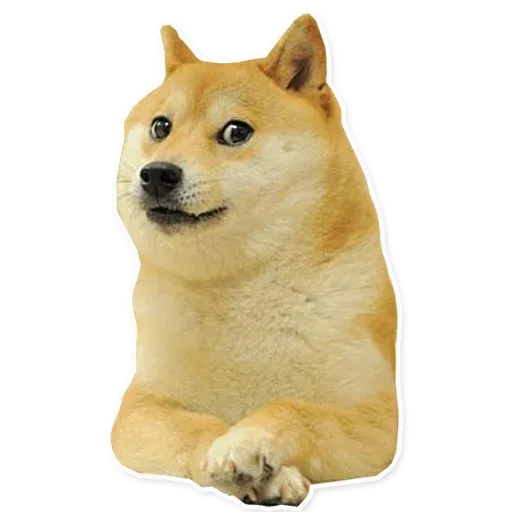 Meme_pack sticker 88
