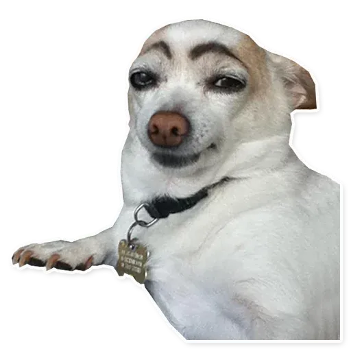 Meme_pack sticker 89