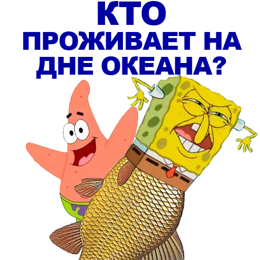 meme sticker 114
