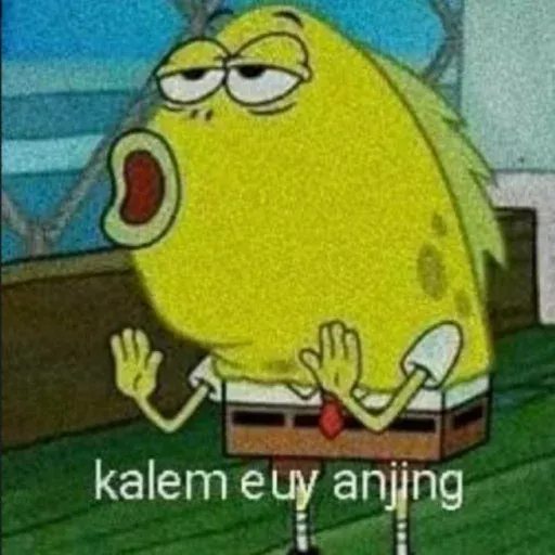 meme sticker 23
