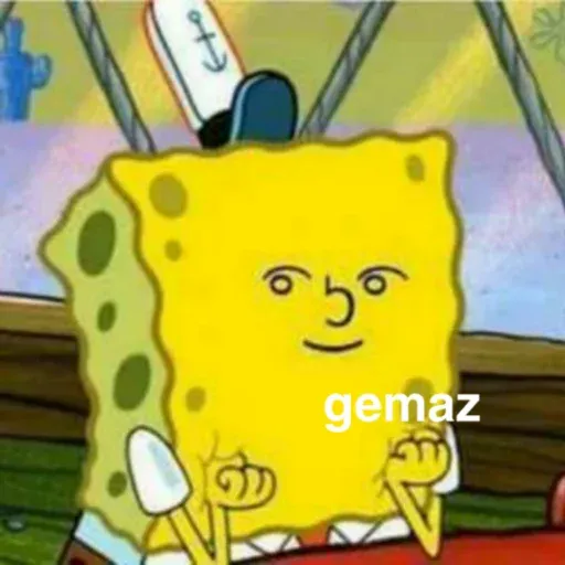 meme sticker 4