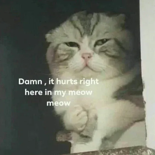 meme sticker 70