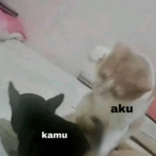 meme sticker 78