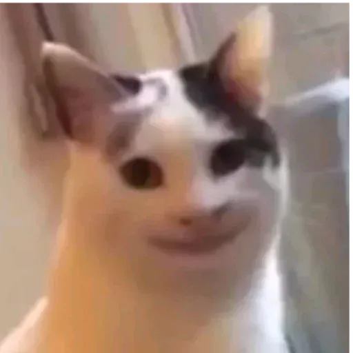 meme sticker 94