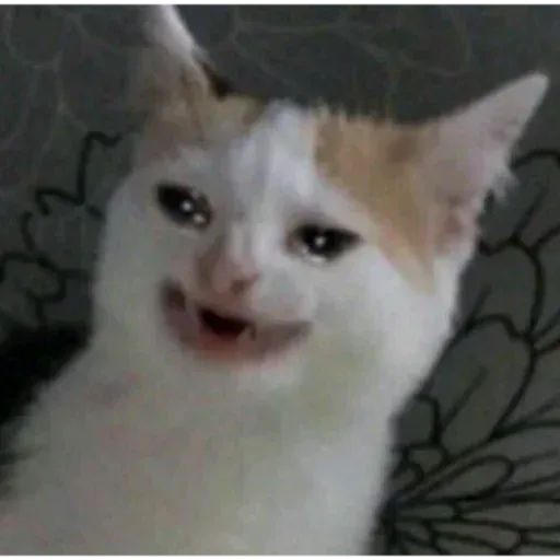 meme sticker 97