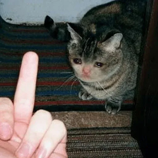 Pussy sticker 11