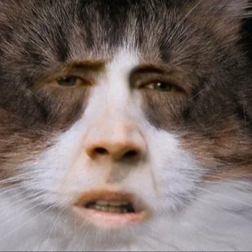 Pussy sticker 7