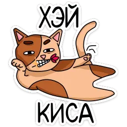 Котики sticker 11