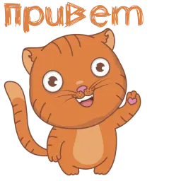 Meow sticker Telegram sticker pack