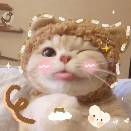 𝐌𝐄𝐎𝐖 𝐌𝐄𝐎𝐖 sticker 50