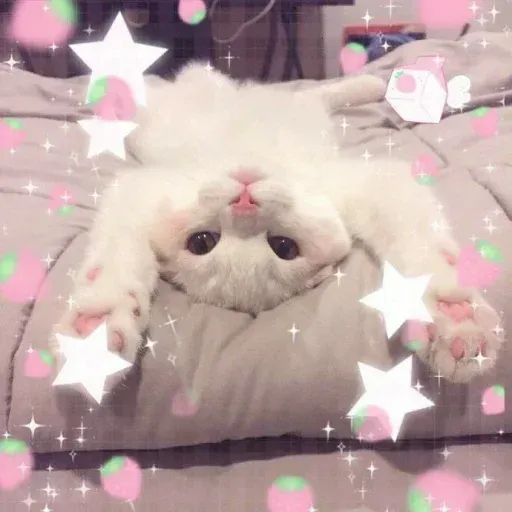 𝐌𝐄𝐎𝐖 𝐌𝐄𝐎𝐖 sticker 69