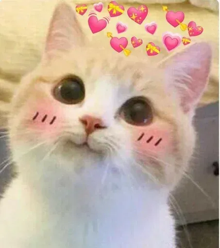 𝐌𝐄𝐎𝐖 𝐌𝐄𝐎𝐖 sticker 70