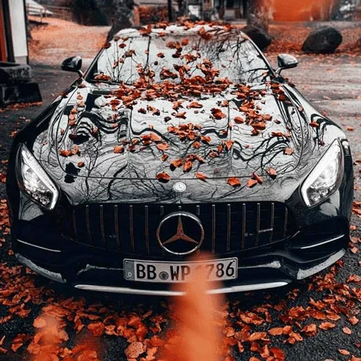 Mercedes Benz by Antonio Eng sticker 53
