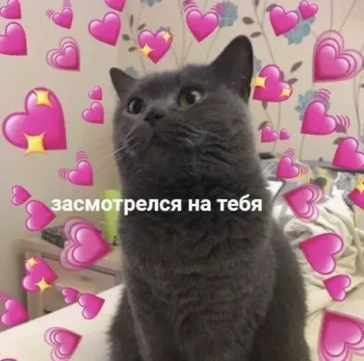 Милые Котики sticker 12
