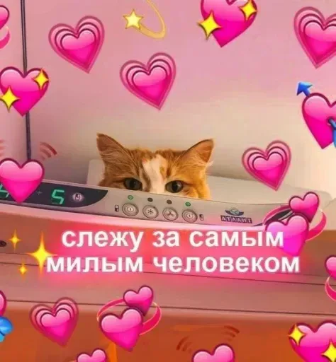 Милые Котики sticker 13