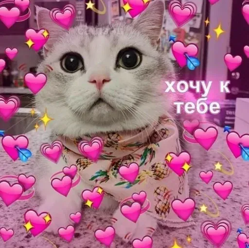 Милые Котики sticker 14