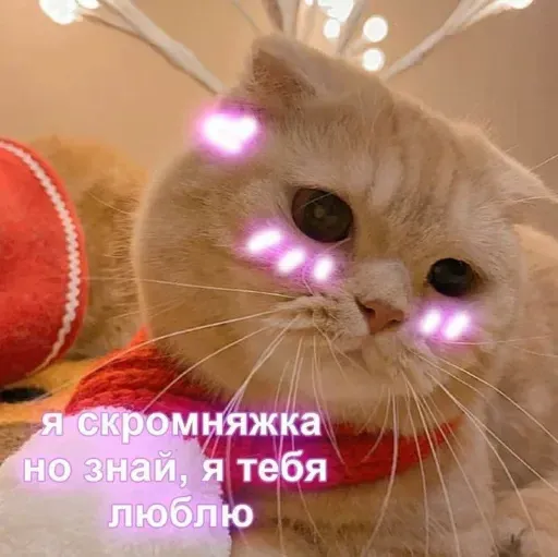 Милые Котики sticker 15