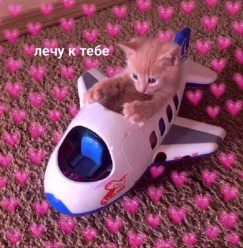 Милые Котики sticker 18