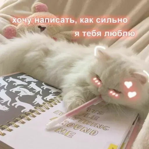 Милые Котики sticker 19