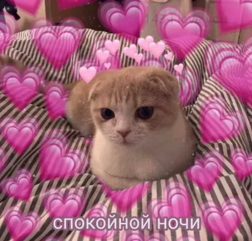 Милые Котики sticker 20