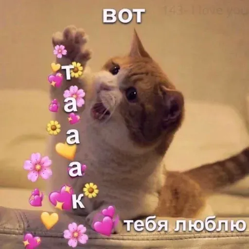 Милые Котики sticker 3
