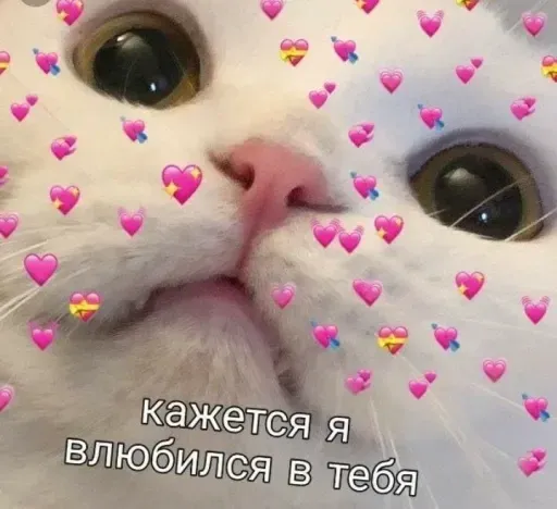 Милые Котики sticker 21