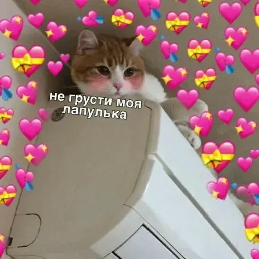 Милые Котики sticker 22