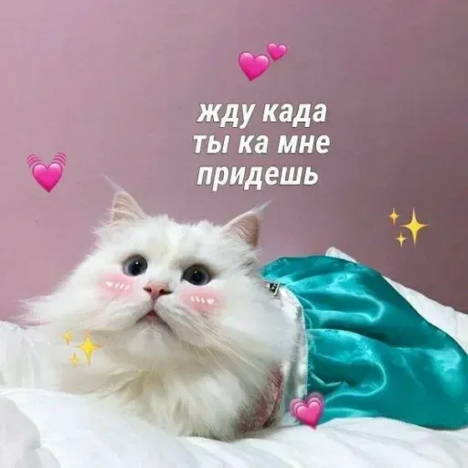 Милые Котики sticker 24