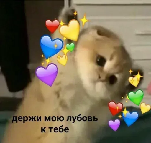 Милые Котики sticker 25
