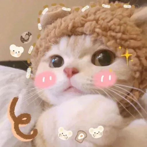 Милые Котики sticker 27