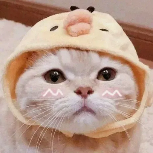 Милые Котики sticker 28