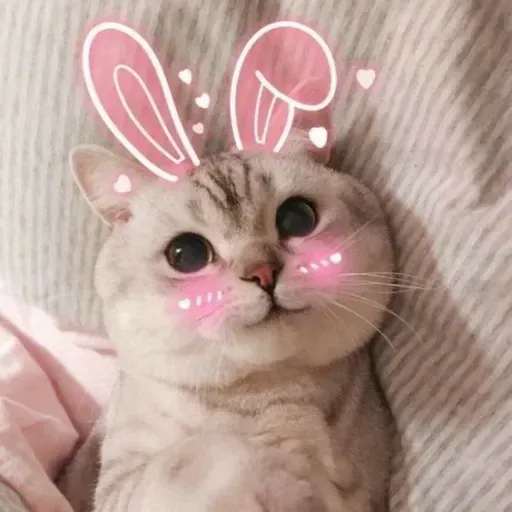 Милые Котики sticker 29