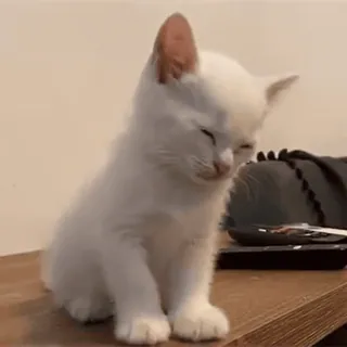 Милые Котики sticker 34