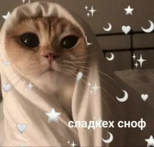 Милые Котики sticker 6