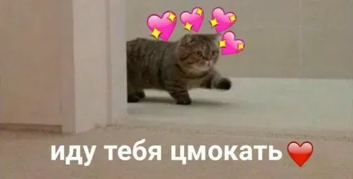 Милые Котики sticker 7
