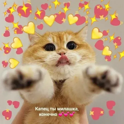Милые Котики sticker 10