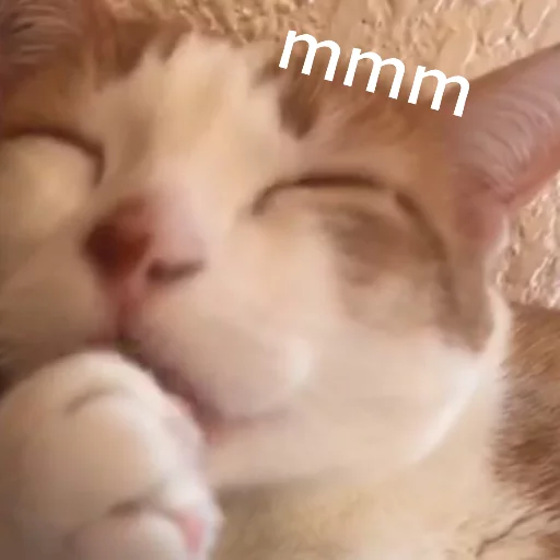 Milo sticker 11