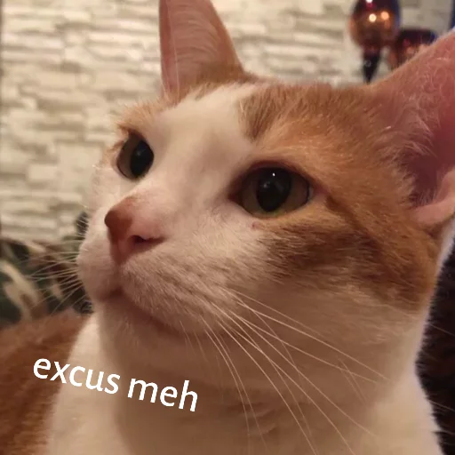 Milo sticker 3