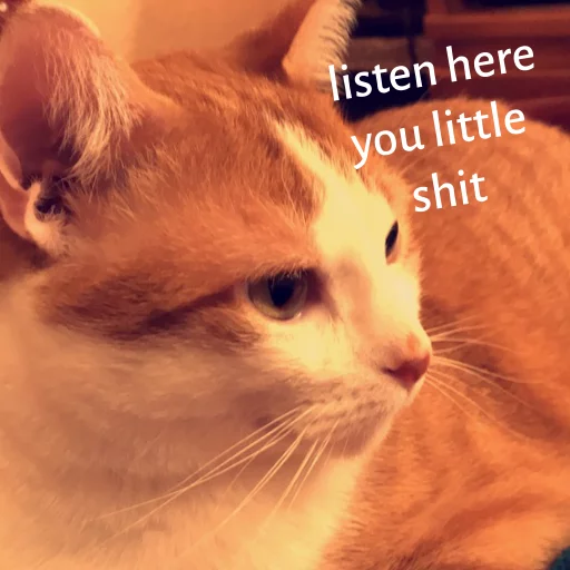 Milo sticker 4