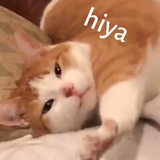 Milo sticker 9
