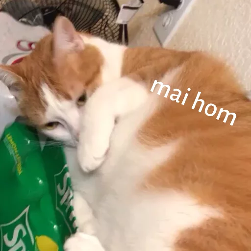 Milo sticker 10