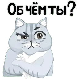 Волшебный кот sticker 5