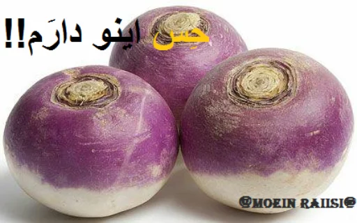 KHODEMANI sticker 2