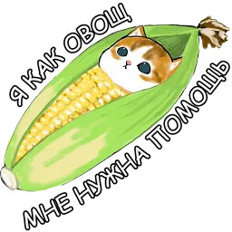 Котики sticker 3